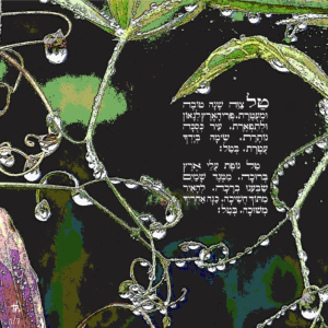 Tefilat Tal, bön om dagg